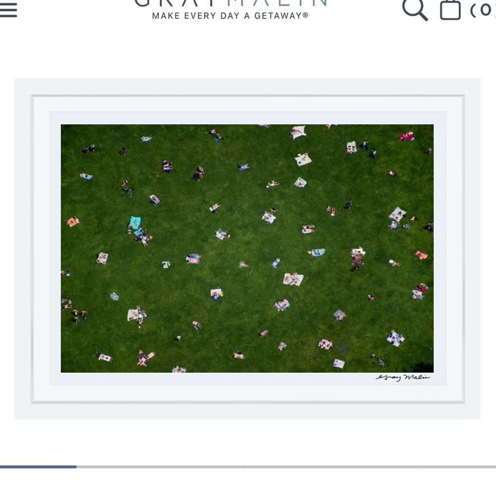 Framed gray malin Central Park print